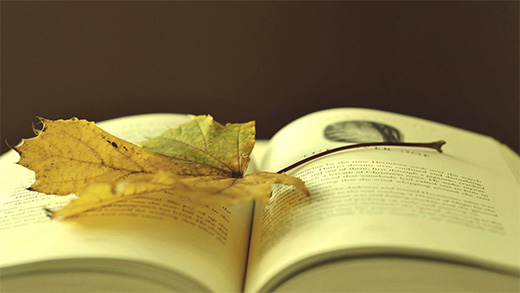 1555981602475372.jpg 1555981602475372.jpg