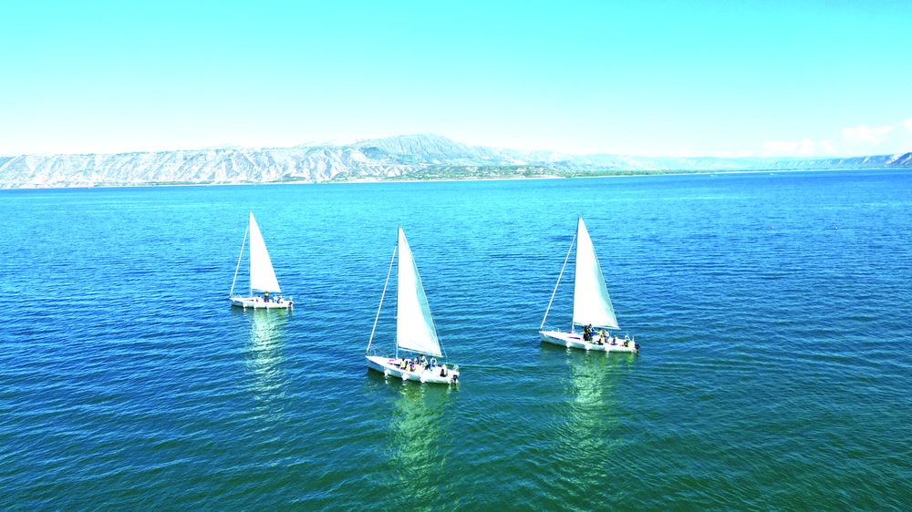 5f46b0e0-4aea-4dab-b4f4-6782195ea0c8.tif.jpg