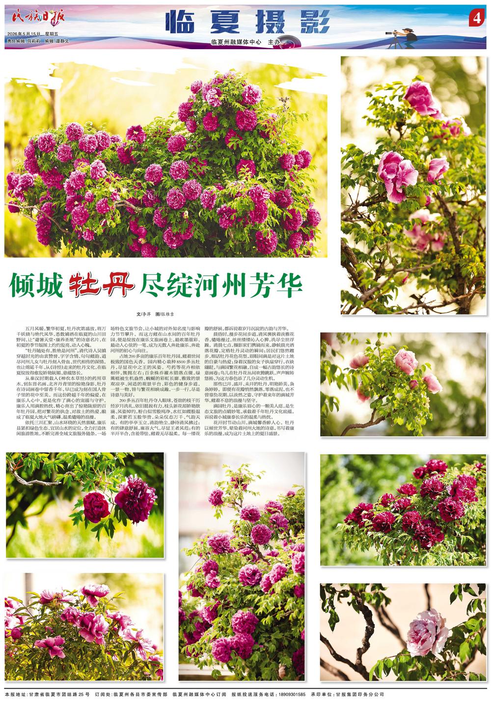 bede8a35-c989-4ec9-ae51-b90950548745.jpg.jpg