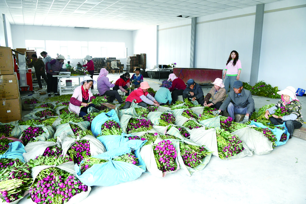 1779327189801879.jpg baca69fe-a4cd-4c1c-99ca-59db10cee9a1.tif.jpg