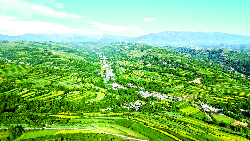 d0f9fe95-c887-400d-951f-b3eb23f976fe.tif.jpg