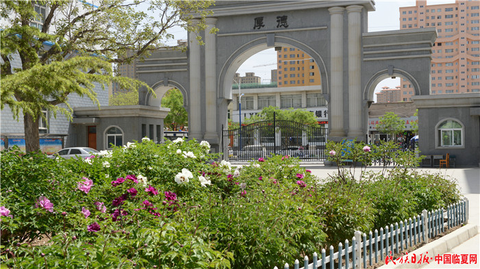 1557448752448482.jpg DSC_3451.jpg