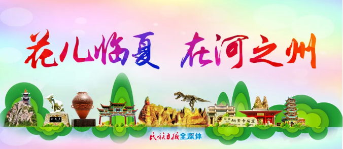 1604304474176651.png