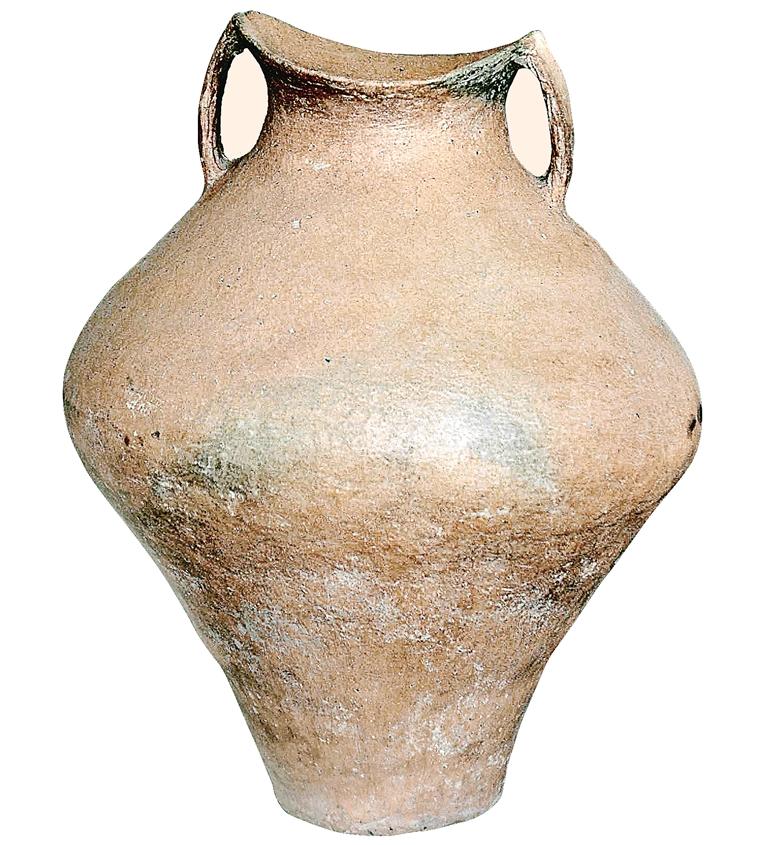 1655775320148756.jpg 1655775320148756.jpg